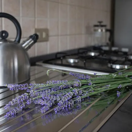 Maggiore A 10 Minuti 